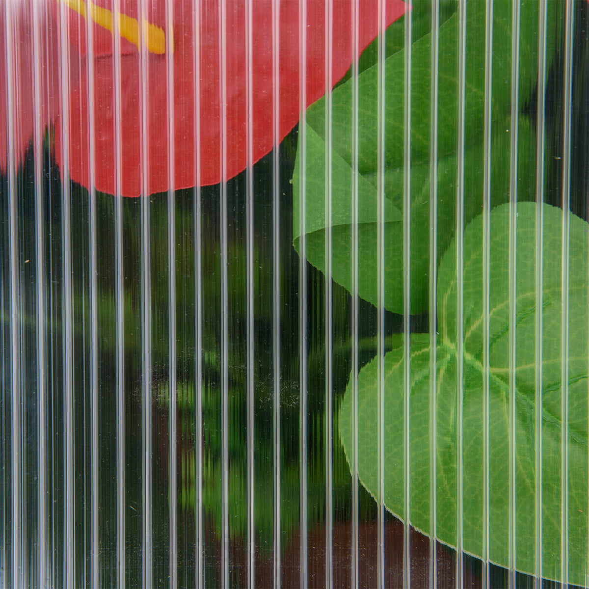 Outsunny greenhouse close-up of ribbed translucent polycarbonate panel
