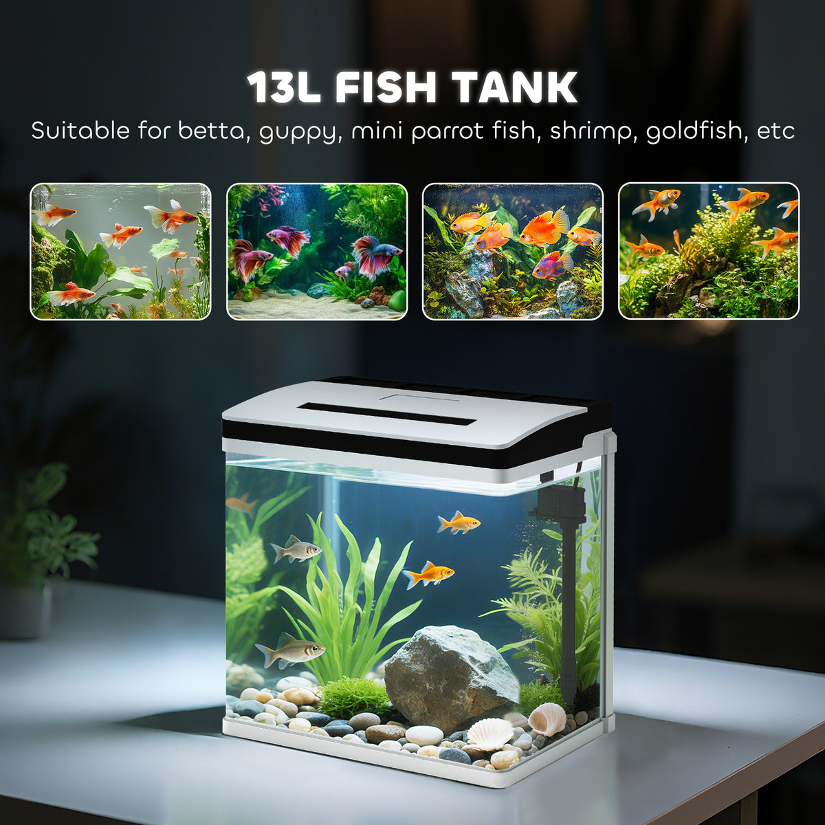 13L glass fish tank with black-and-white lid, LED light, and internal filter