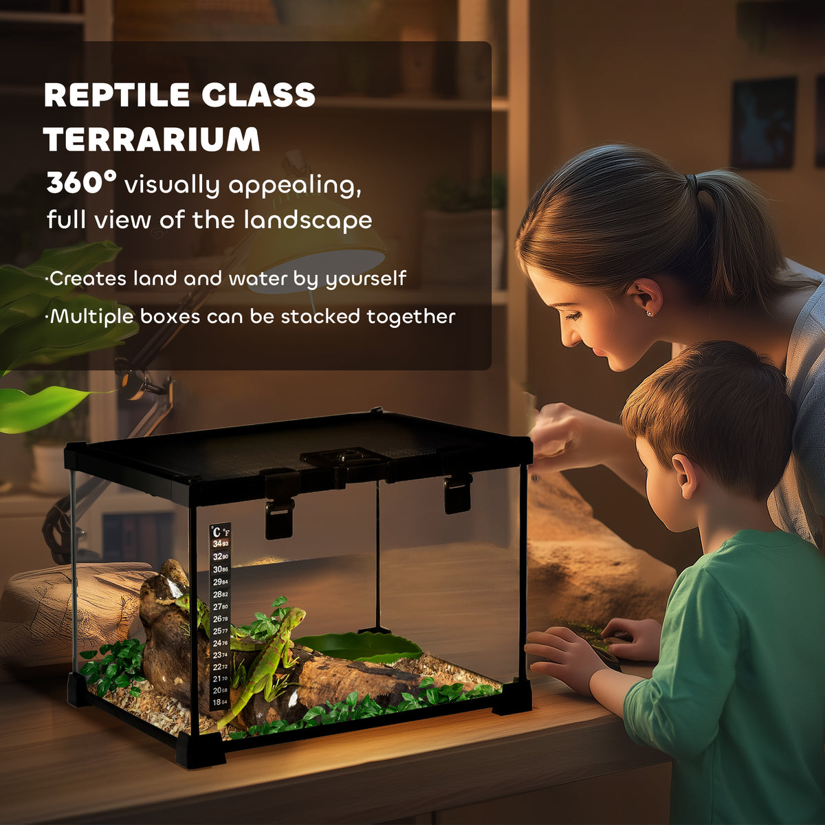 Glass reptile terrarium with black frame, thermometer, plants, and habitat decor.