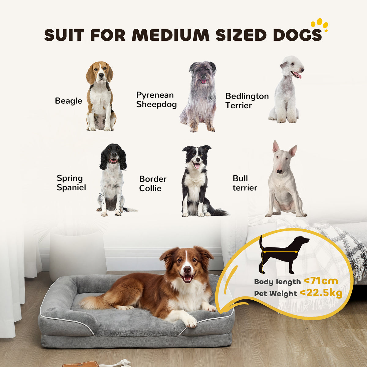 PawHut Dog Sofa Bed, Washable Pet Bed with Removable Cover and Non-Slip Bottom for Cats, Small and Medium Dogs, Grey