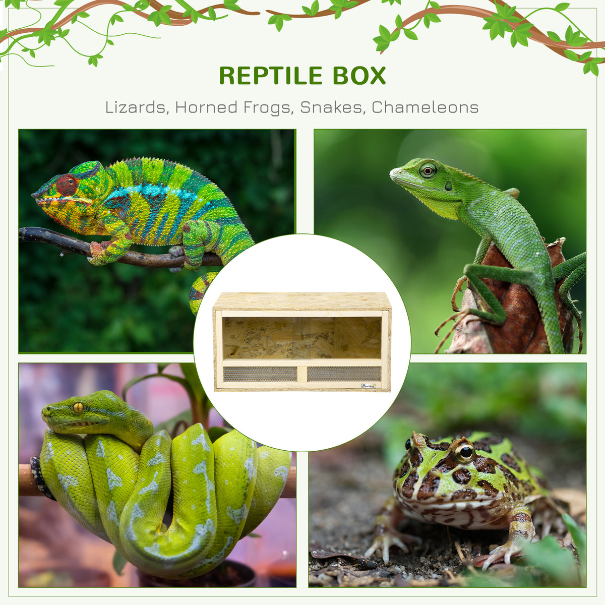 PawHut reptile habitat shown with chameleons, a lizard, a snake, and a horned frog