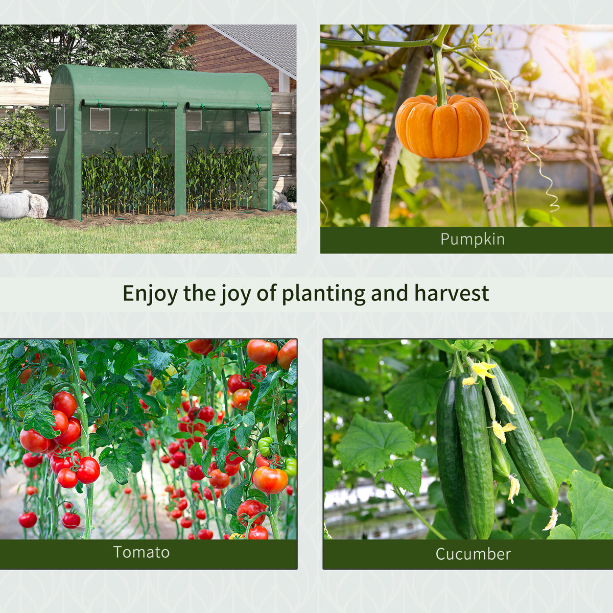 Green walk-in greenhouse shown beside examples of pumpkins, tomatoes and cucumbers.