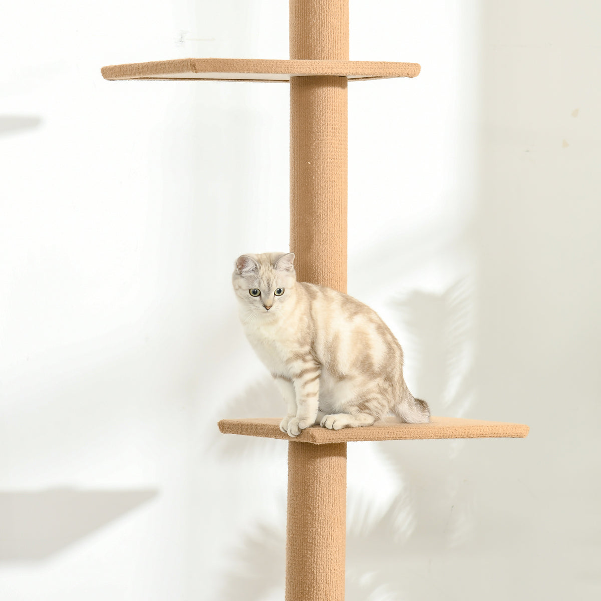 PawHut 260cm Floor To Ceiling Cat Tree for Indoor Cats w/ Three Platforms Activity Centre - Brown