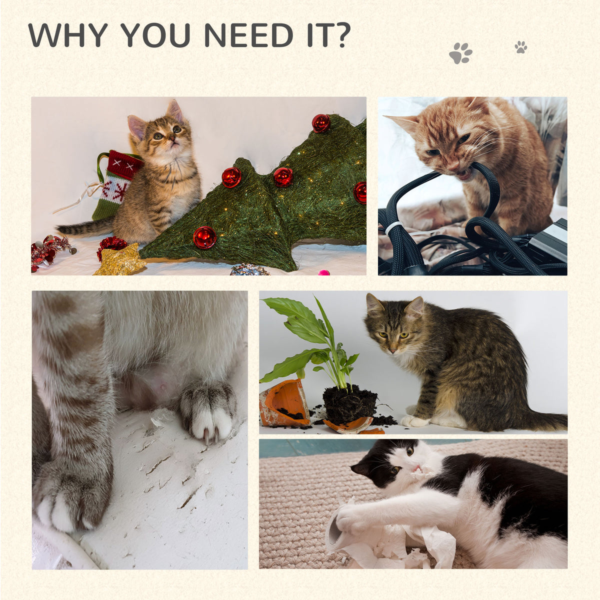 Cats scratching furniture, climbing objects and playing with household items