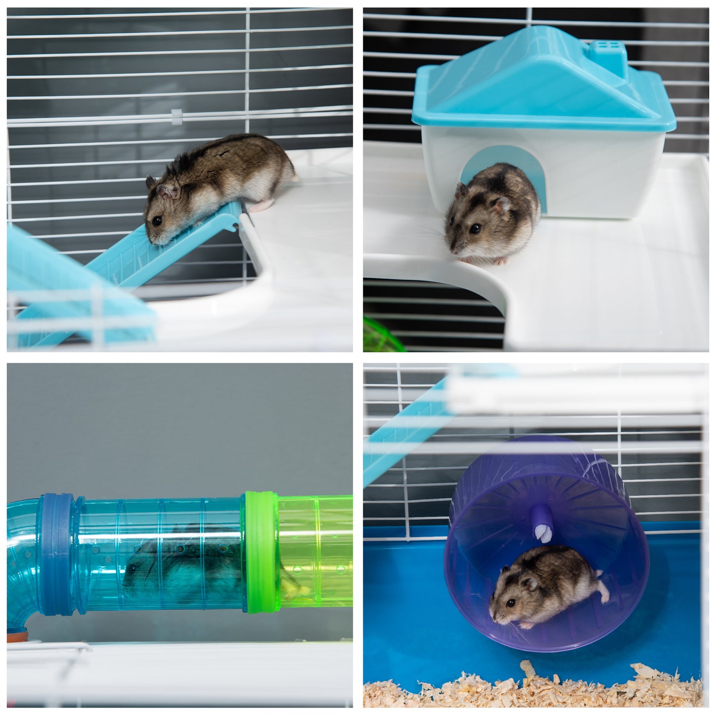 PawHut 5 Tier Hamster Cage, Gerbil Cage with Exercise Wheel, Feeder Bowl, Tube, Water Bottle, 59L x 36W x 69H cm - Blue