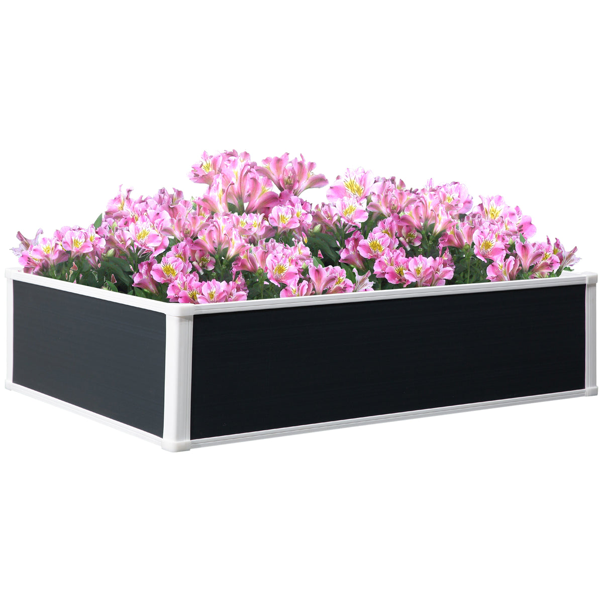 Outsunny raised garden bed filled with pink flowers, with black panels and white trim