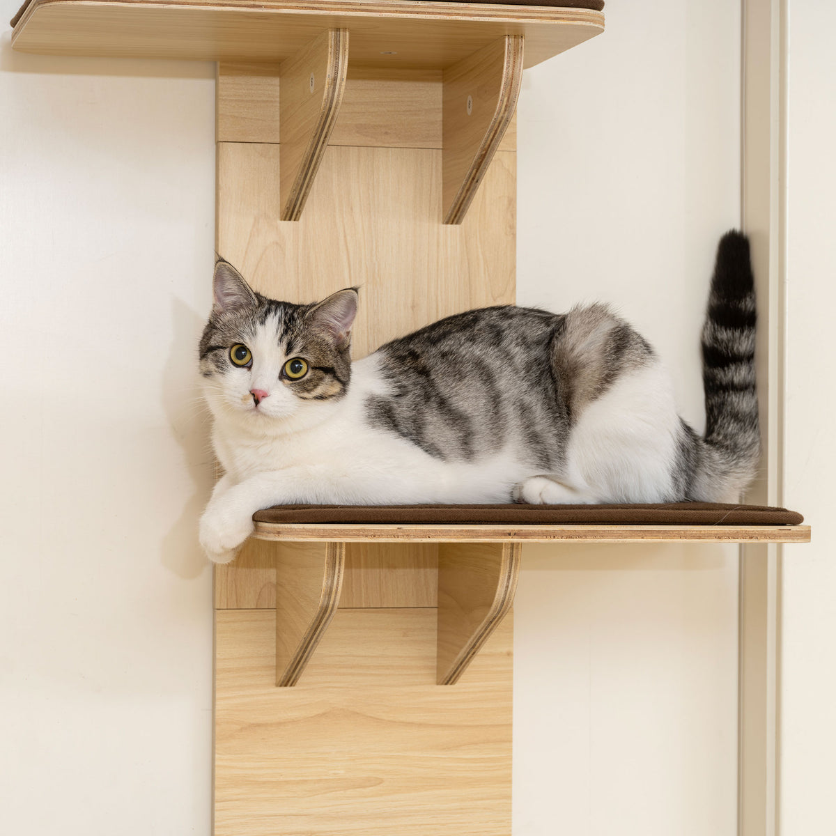 PawHut 4-Level Door Mounted Cat Tree with Washable Plush Mats, Toy Balls, Door Hanging Cat Shelf for Indoor Cats