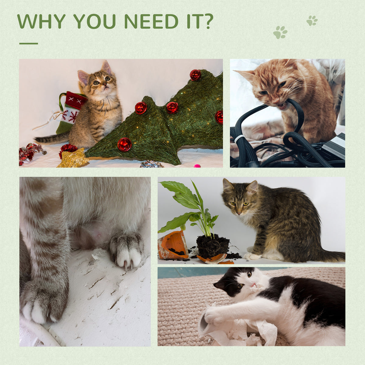 Cats scratching furniture and household items, illustrating the need for a cat tree