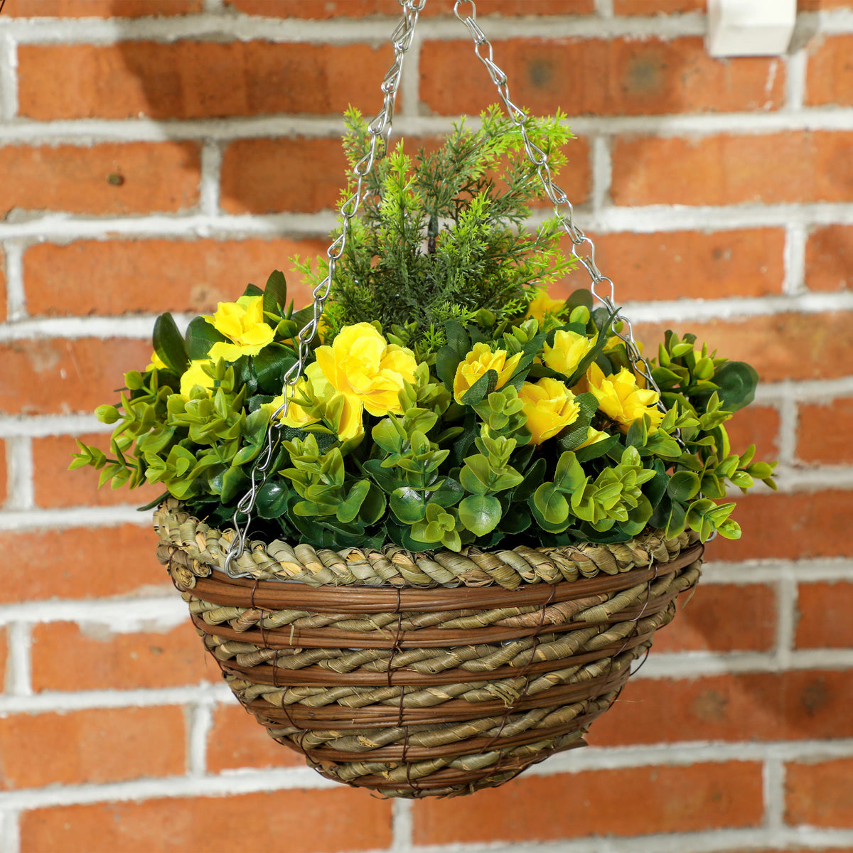 Hanging flower basket with yellow blooms, green foliage, chain, and woven brown pot