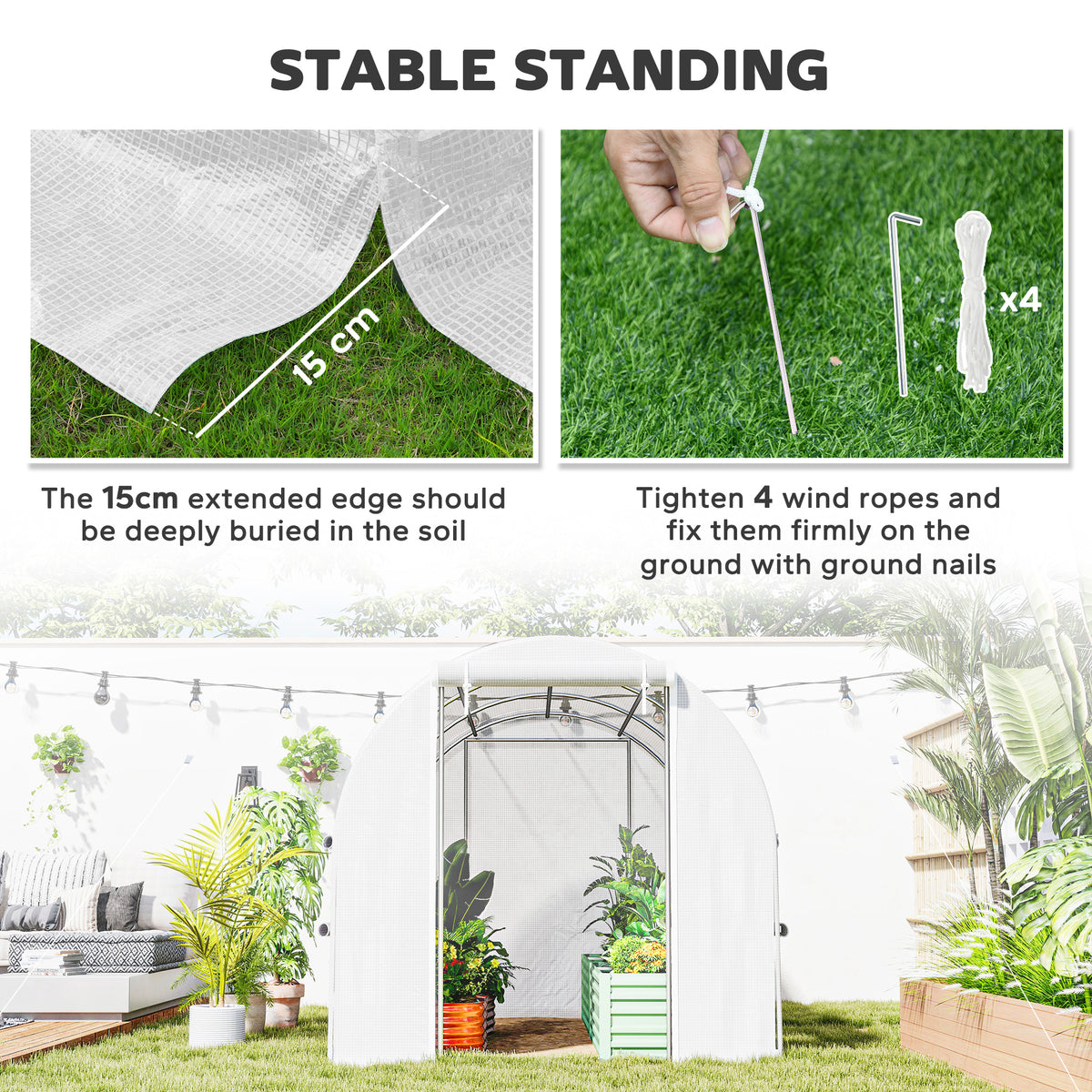 Walk-in polytunnel greenhouse with extended cover edge, ground stakes and wind ropes