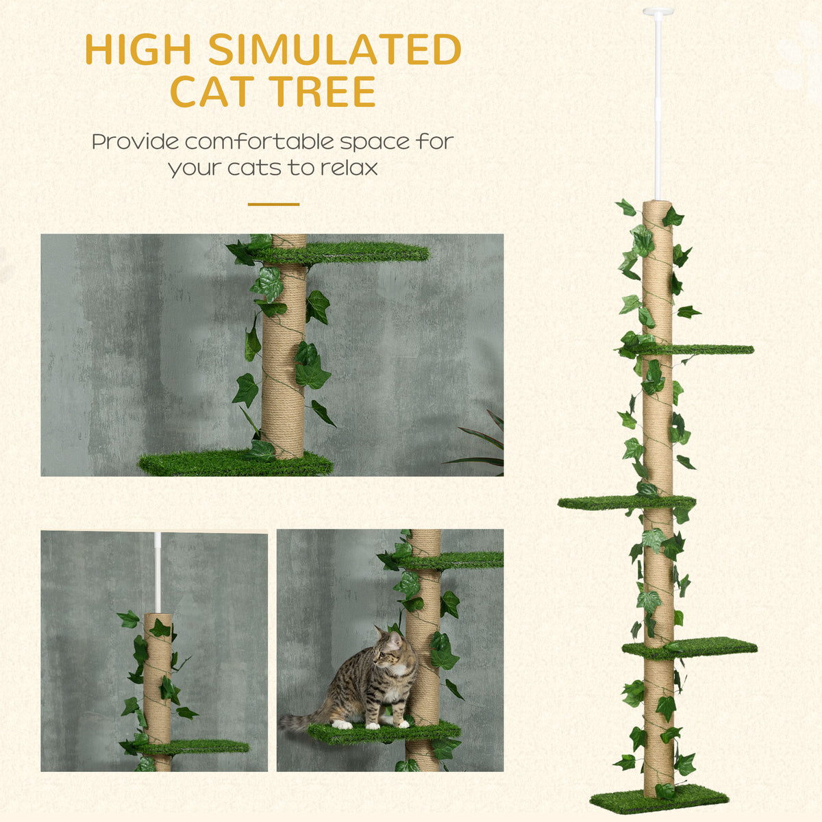 TlQ4d019495fa776f.jpg