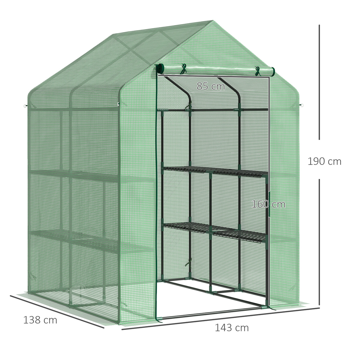 Green walk-in greenhouse with roll-up front door, shelves, and size dimensions