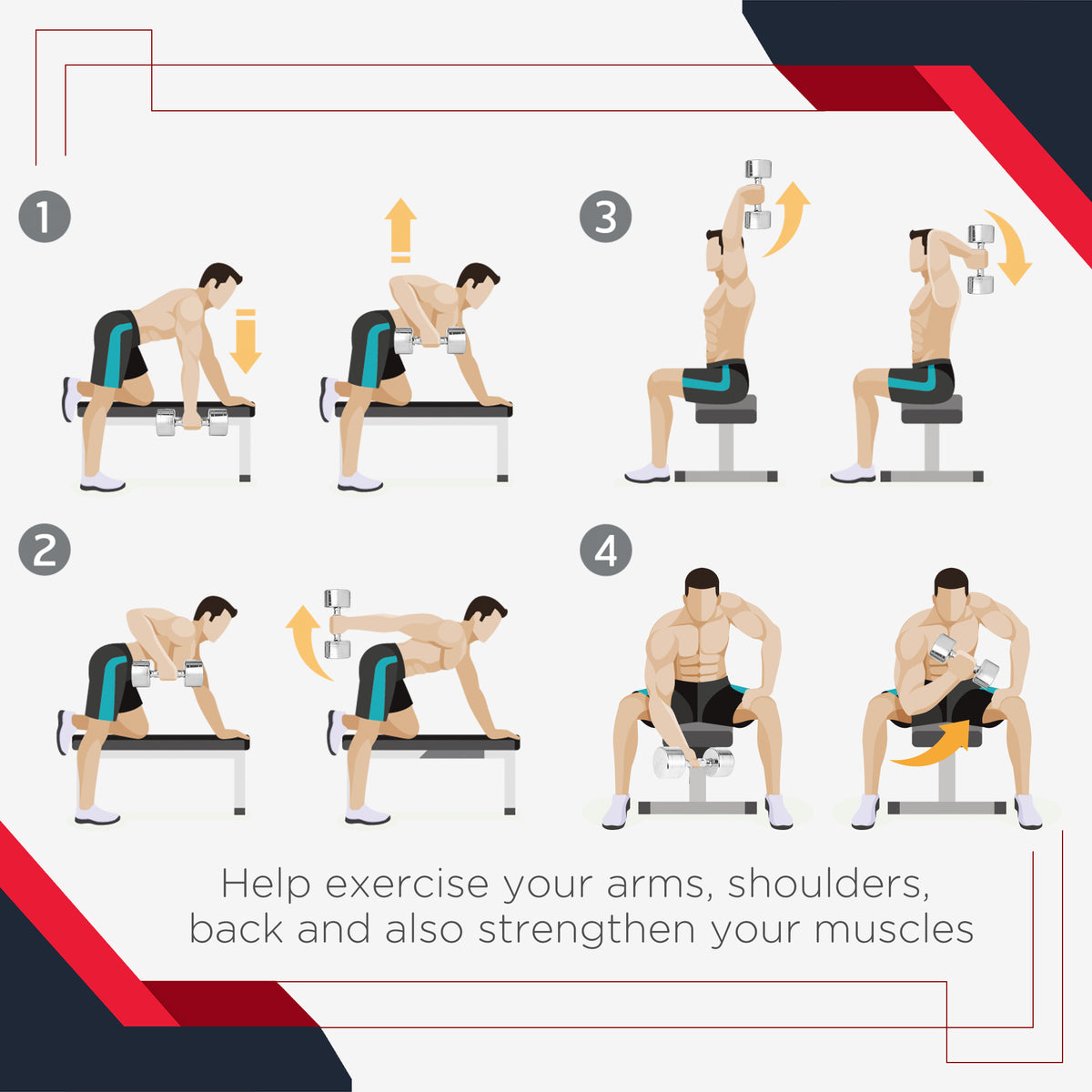 Hex dumbbells shown with illustrated arm, shoulder and back exercises