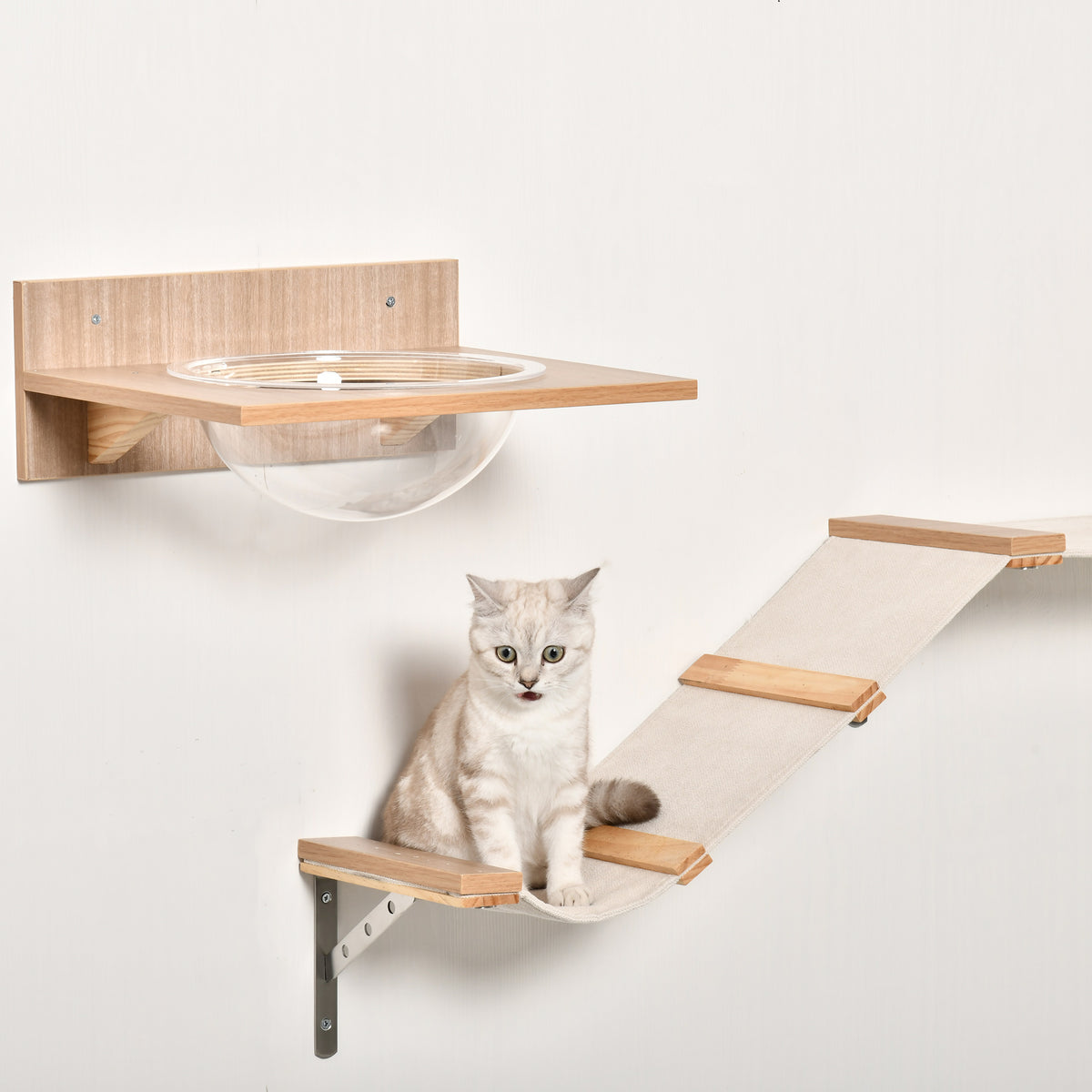 Wall-mounted acrylic cat hammock and fabric climbing ramp with cat on the lower platform
