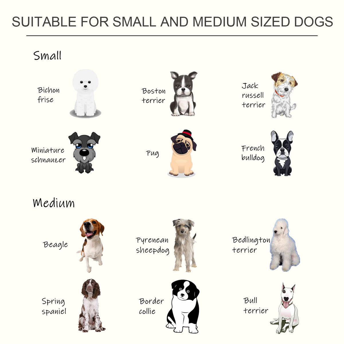 Raised dog feeder guide showing small and medium dog breeds it suits.