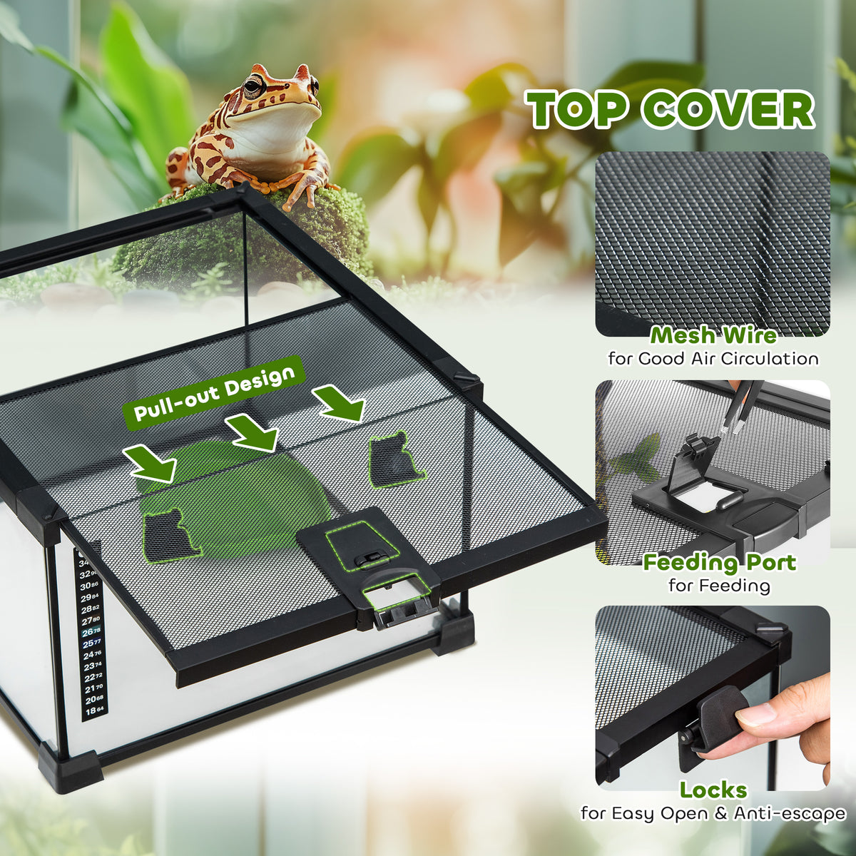 Glass terrarium with mesh top, pull-out feeding port, and locking clips.