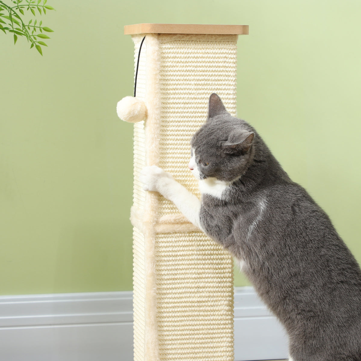 PawHut sisal scratching post with hanging ball as a cat scratches the textured panel