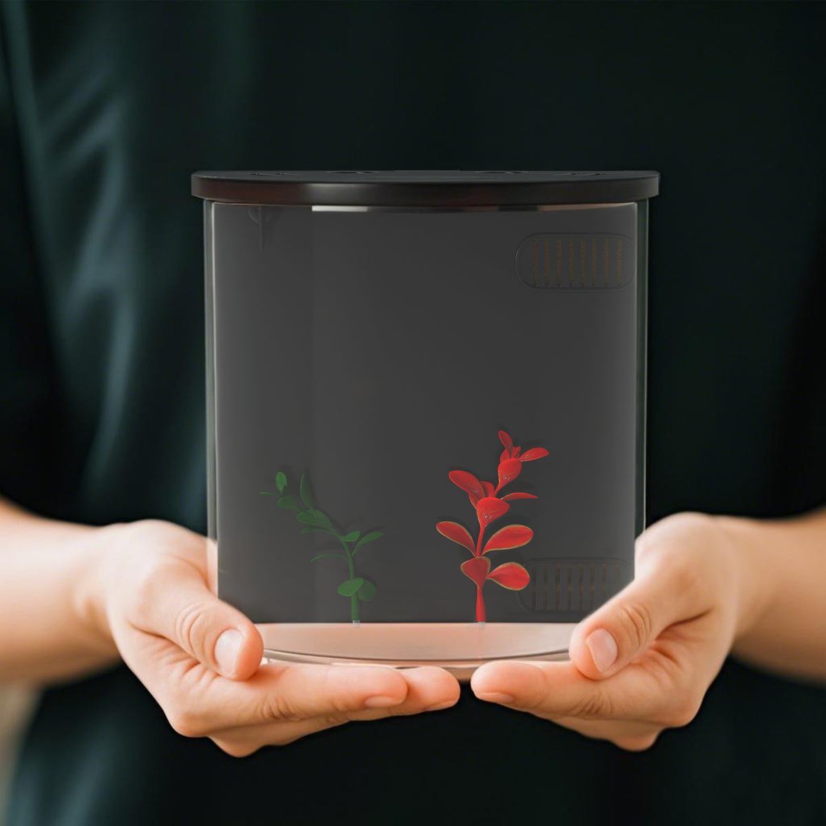 PawHut 3L Small Fish Tank with Filter System, LED Light, Small Fish Tank for Betta, Shrimp, Black