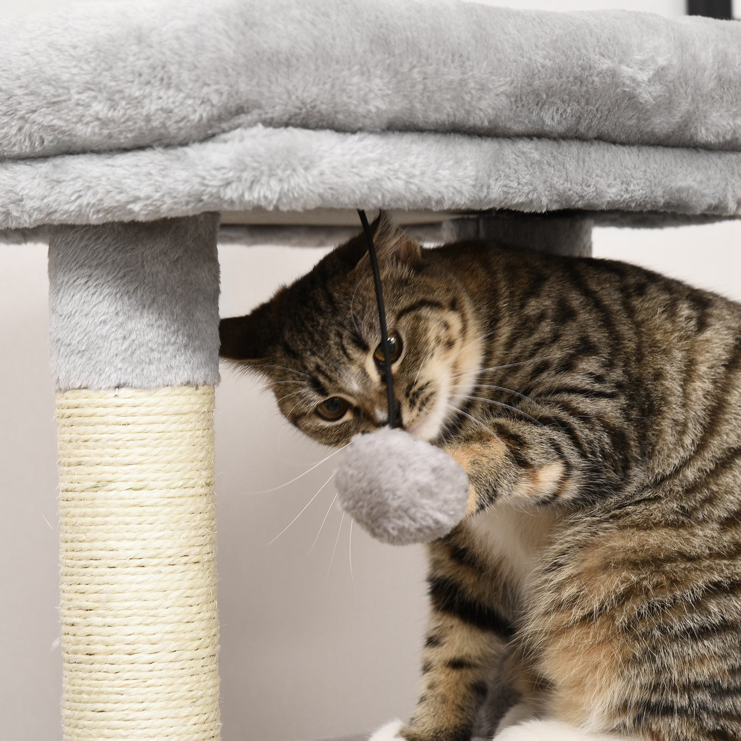 PawHut cat tree hanging ball beside a cat resting under the padded top bed