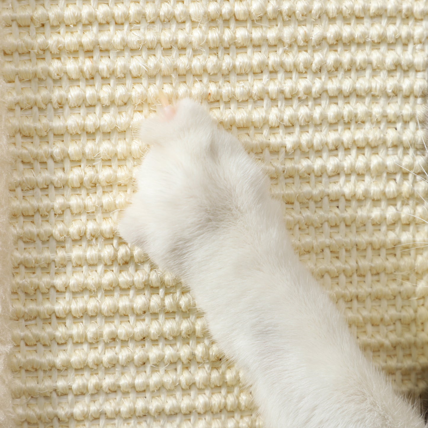 Close-up of the cat scratching post's woven sisal surface and hanging plush ball