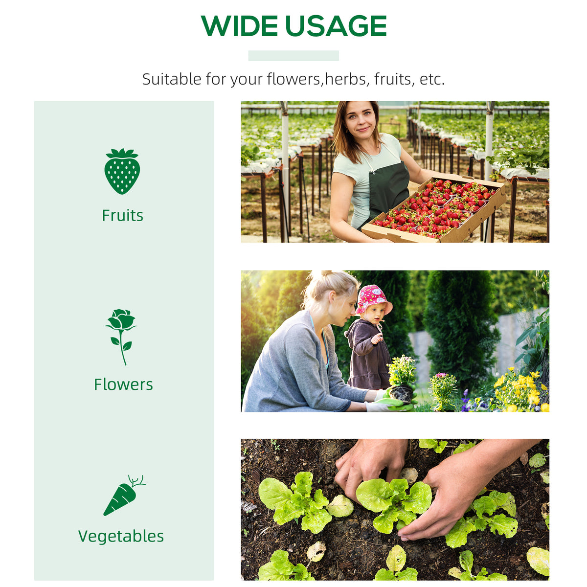 Mini greenhouse suitable for growing fruits, flowers and vegetables