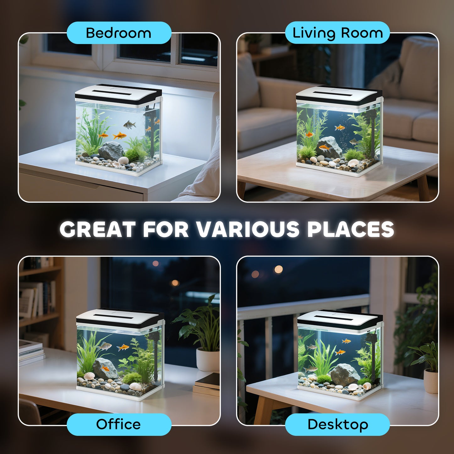 Compact glass aquarium with black-and-white lid, shown in four room settings