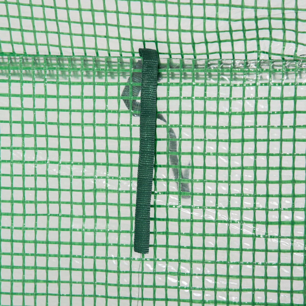 Close-up of a strap securing the green greenhouse cover
