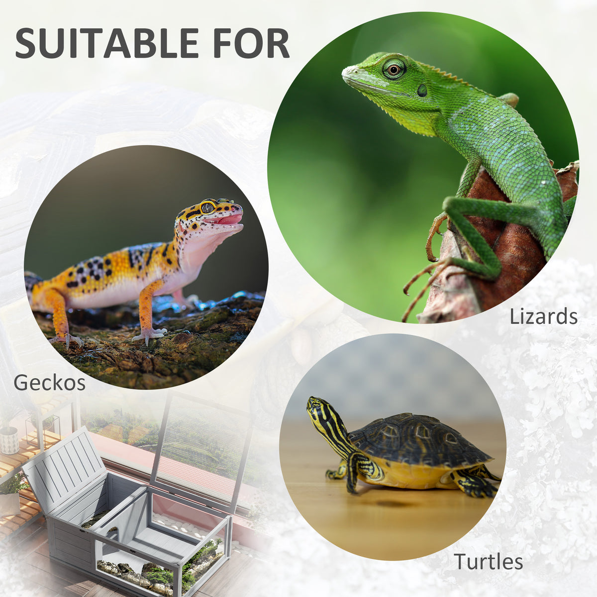 PawHut reptile house shown with geckos, lizards, and turtles