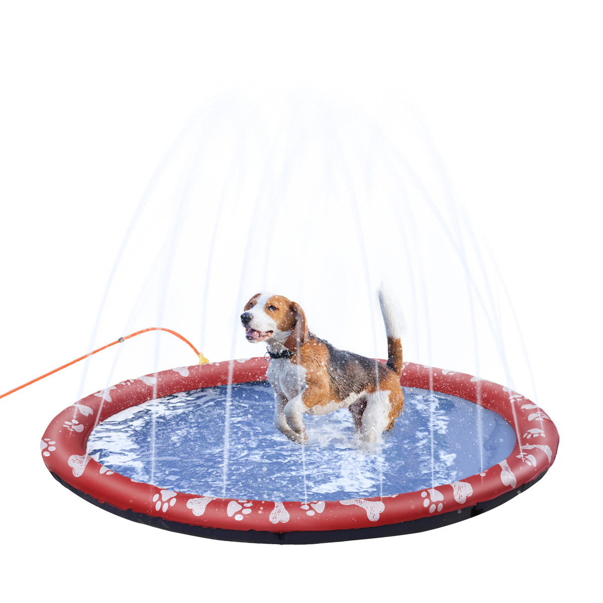 PawHut dog splash pad with red paw-print rim, spraying water around a dog
