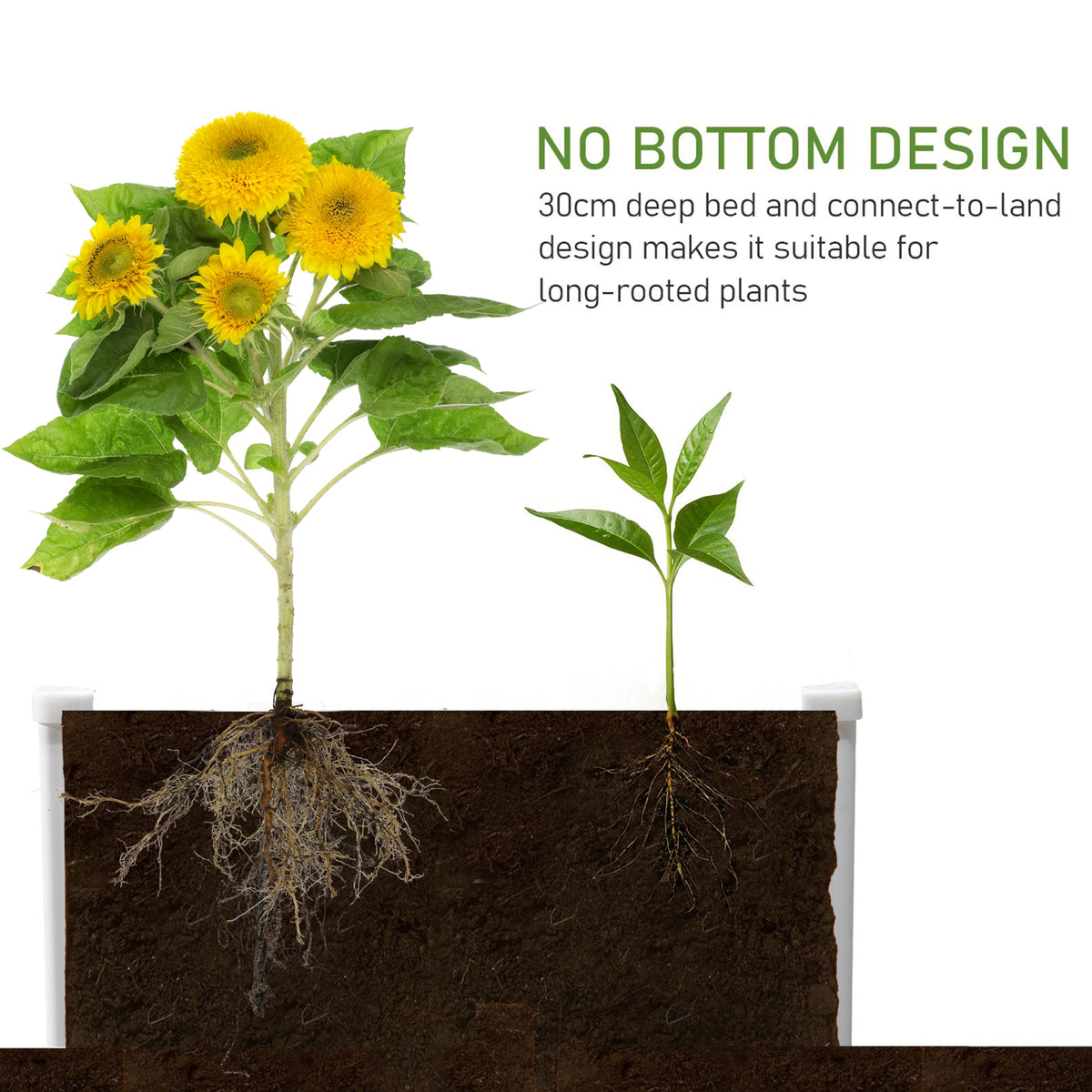 Outsunny bottomless raised garden bed shown with plants and roots extending into the soil