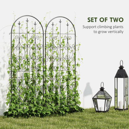 Pair of scrollwork garden trellises supporting climbing green plants