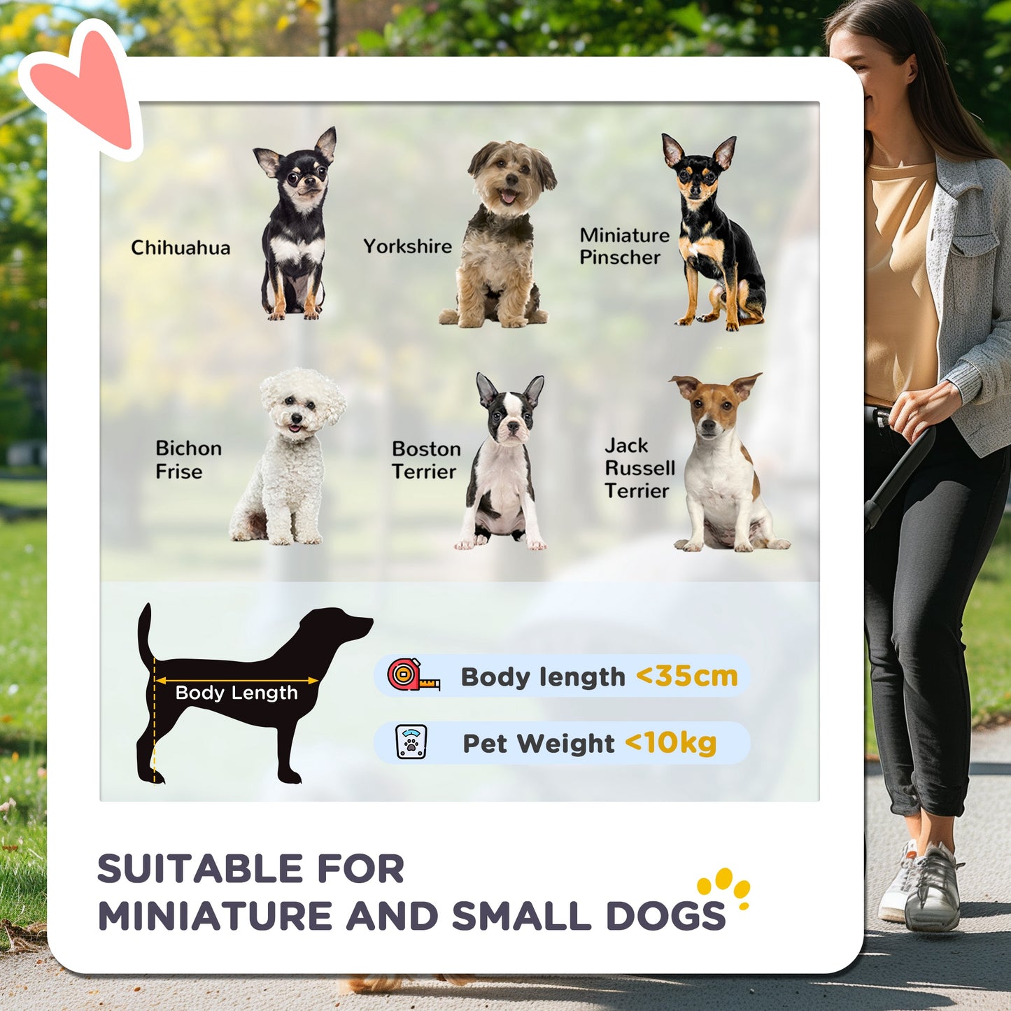 PawHut 3 Wheel Pet Stroller for Small and Miniature Dogs, Black