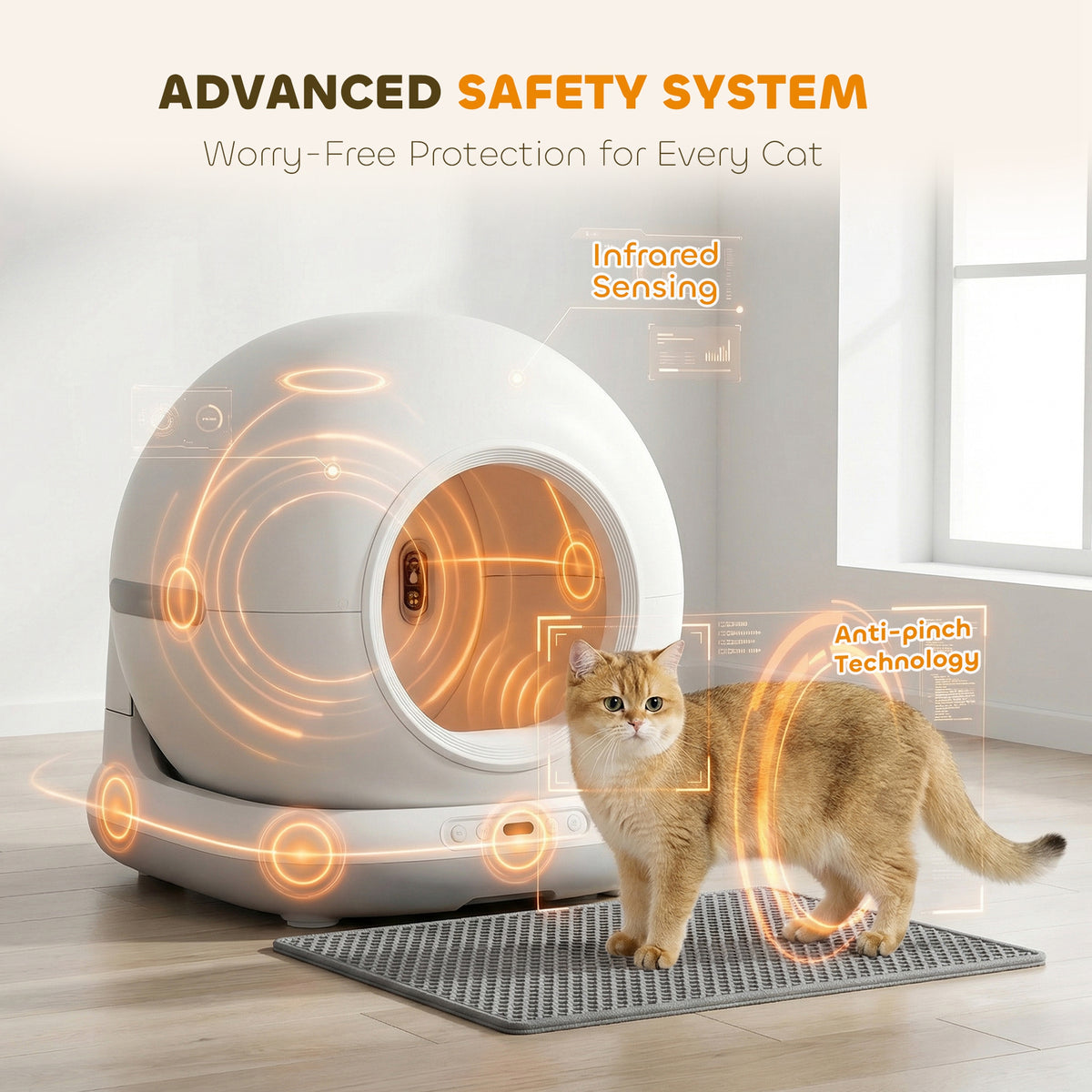 EmW9191a068597301.jpg