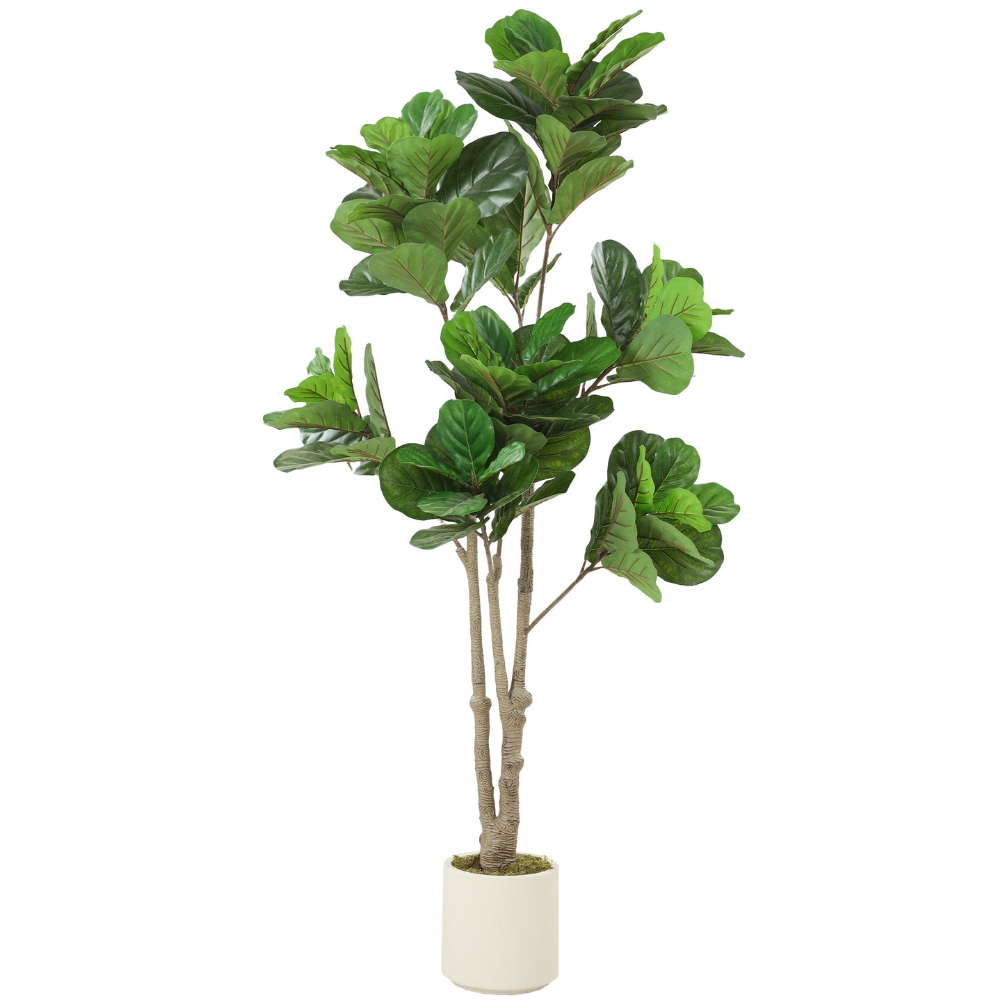 Photo of HOMCOM 180cm Artificial Fiddle Leaf Fig Tree - Green in Green colour on a white background