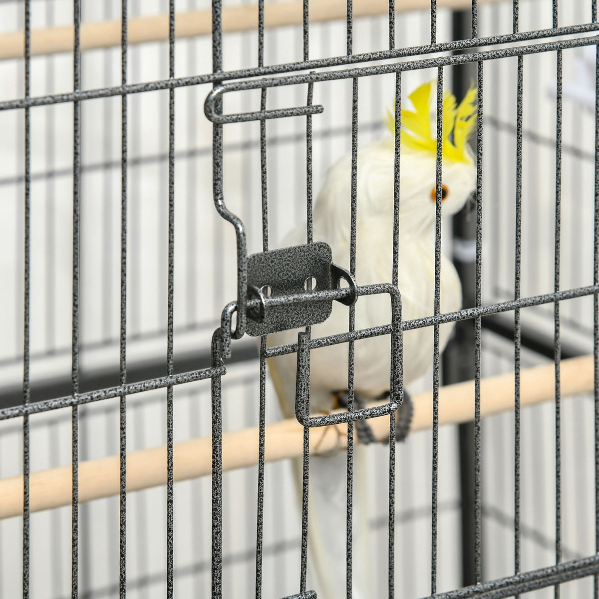 MQf52a1a06c0778c0.jpg