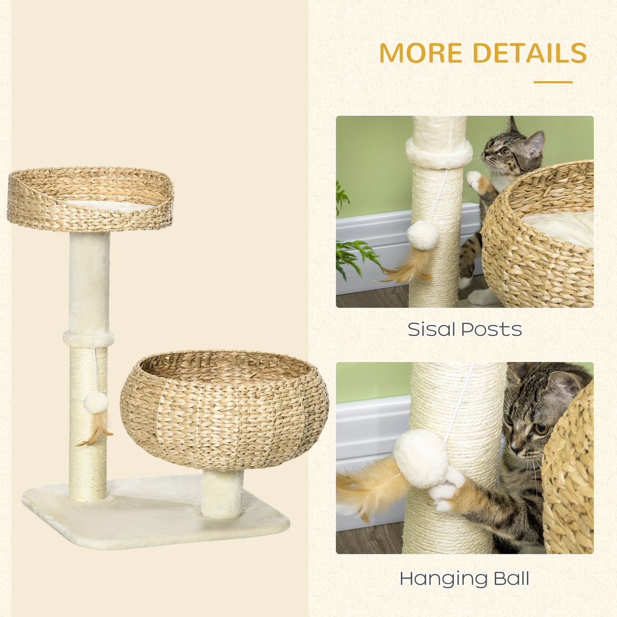 NOQa131a03603b9ff.jpg