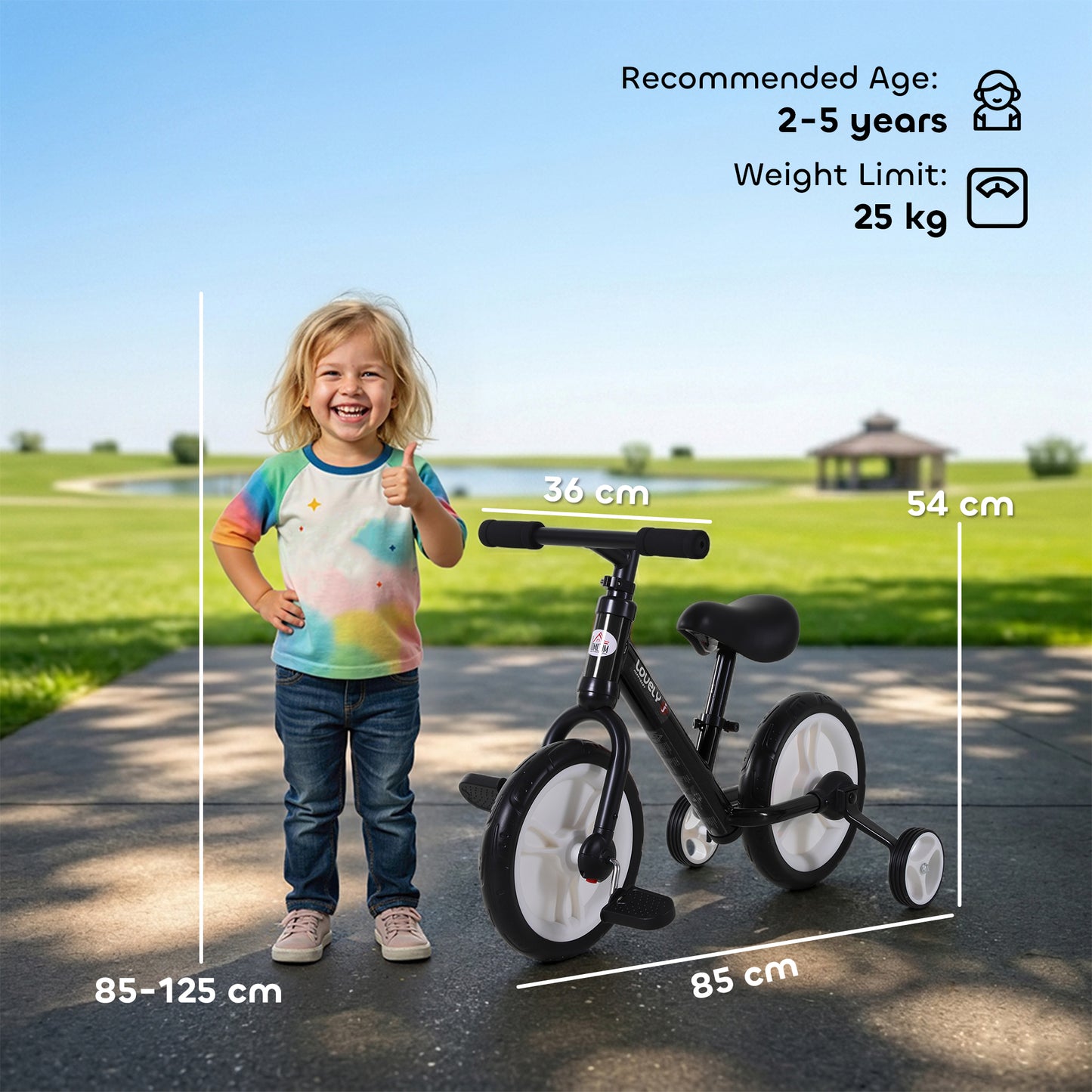 HOMCOM 11 Inch Kids Balance Bike Training Pedal Bicycle W/ Removable Stabilizers EVA Tyres Adjustable Seat Height 2 to 5 Years Gift for Boys Girls Black