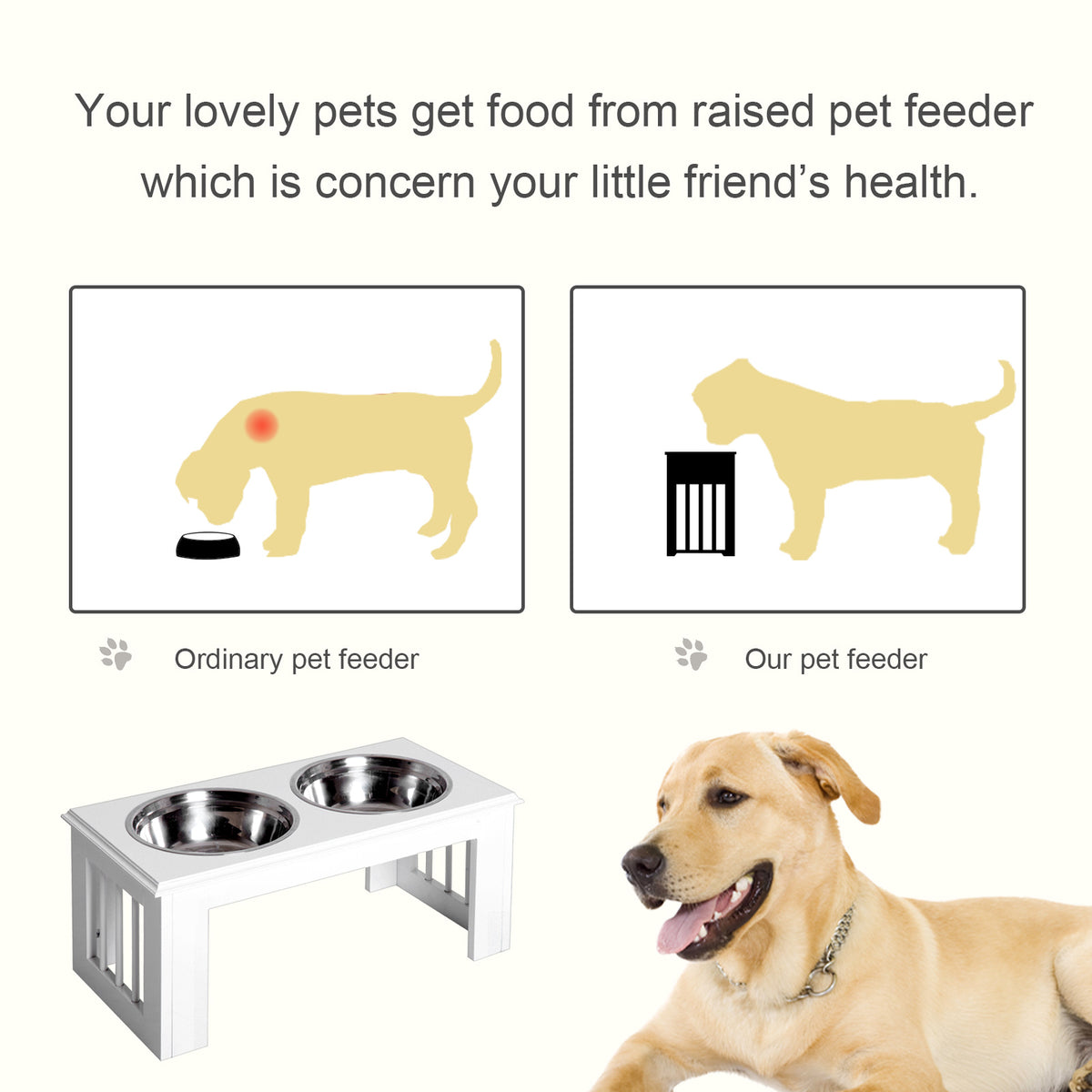 Raised white dog feeder with two stainless steel bowls, shown beside a dog and feeding diagrams.