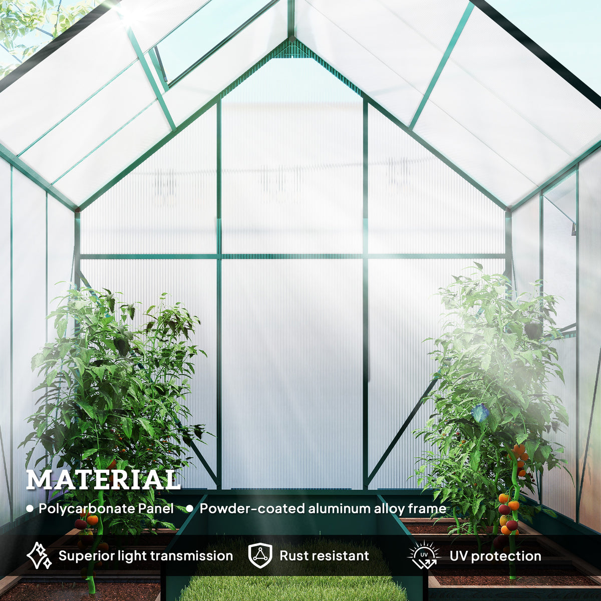 Greenhouse interior with translucent polycarbonate panels, aluminum frame and plants