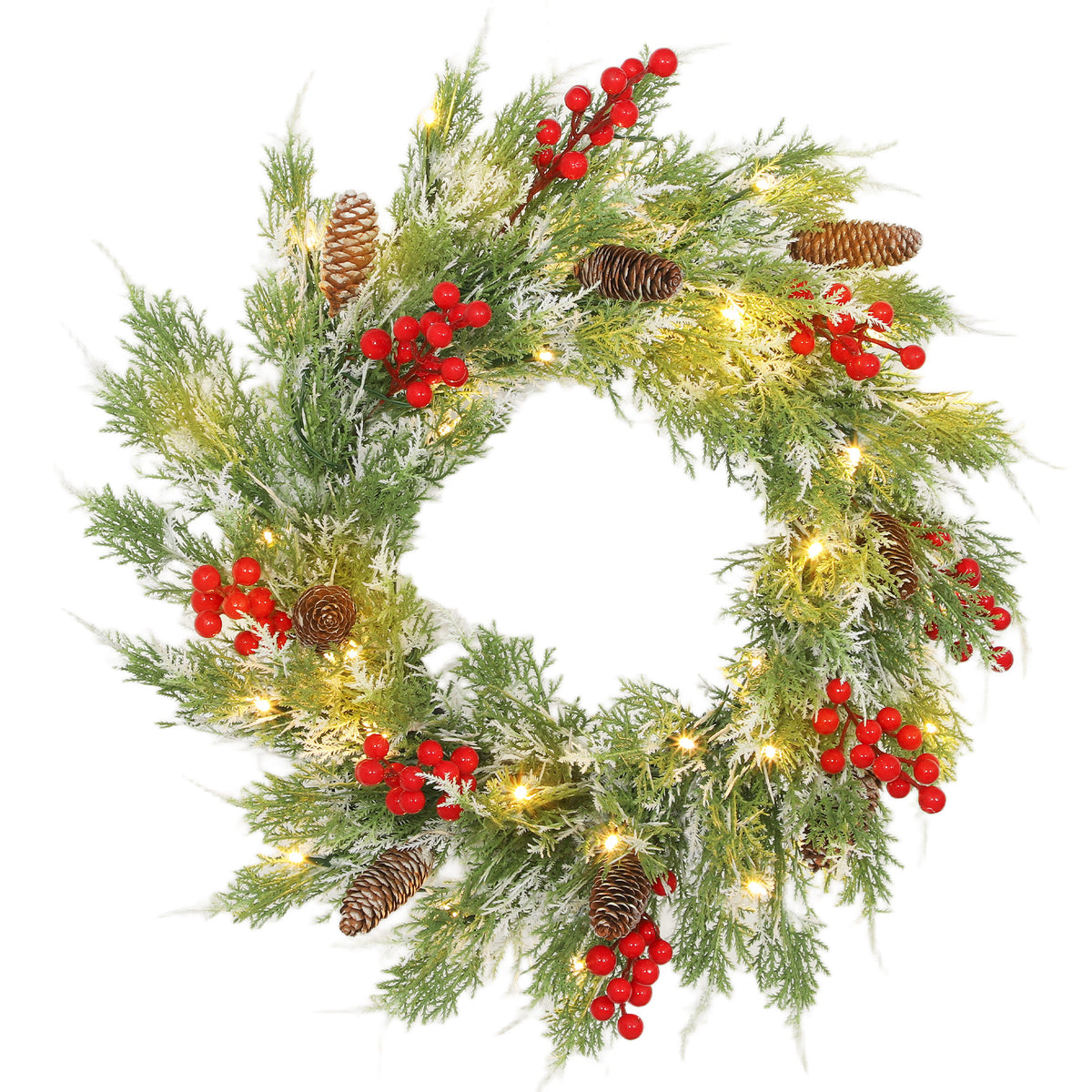 WEra8f1a055e3bc24.jpg
