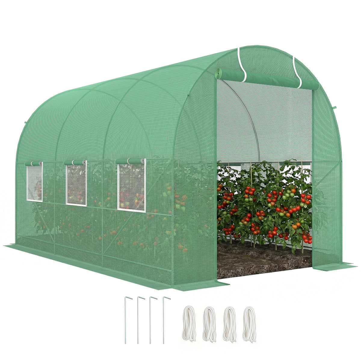 Green walk-in polytunnel greenhouse with open roll-up door, side windows and anchoring accessories