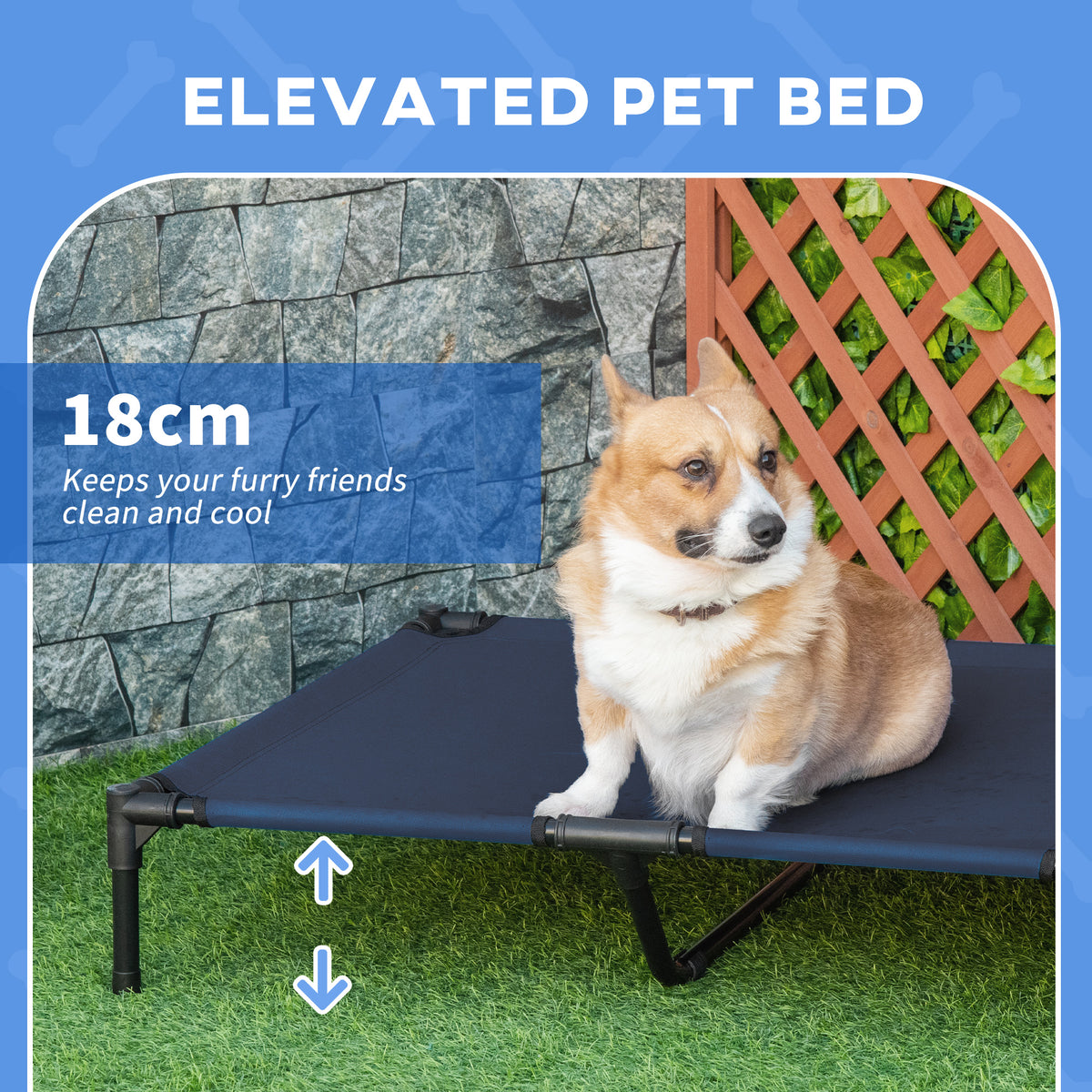 Blue raised pet bed with a metal frame, shown with a dog resting on it