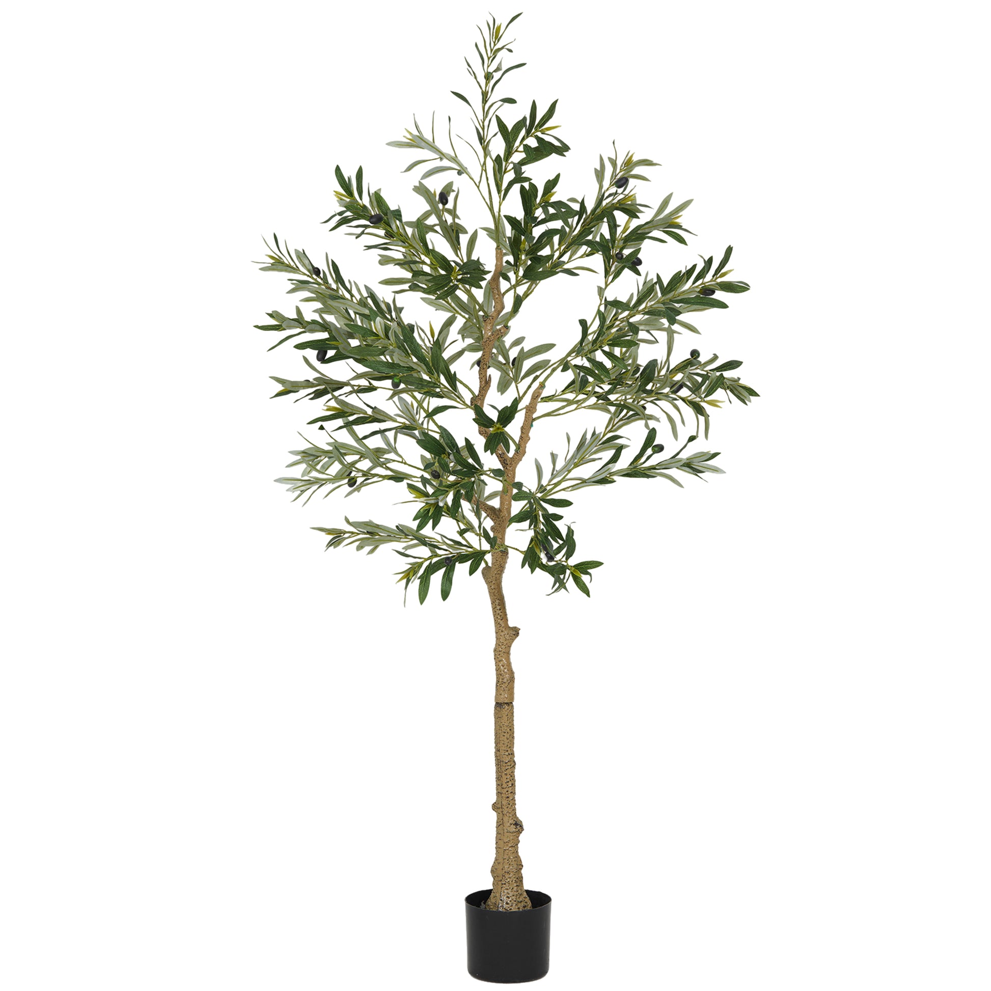 Photo of HOMCOM Silk Leaf Artificial Olive Trees in Trees colour on a white background