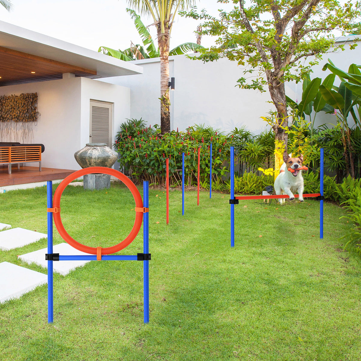 PawHut Dog Agility Equipment, Pet Agility Training Set with Weave Poles, Adjustable Hurdle, Jump Ring, Carry Bag, Dog Indoor Outdoor Games for Play, Run, Jump, Obedience