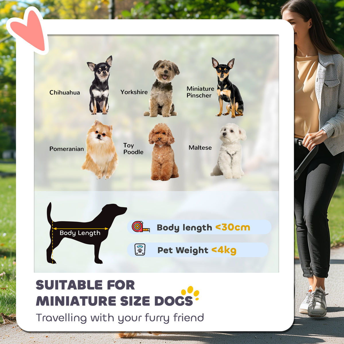 PawHut dog stroller for small dogs under 30 cm long and 4 kg