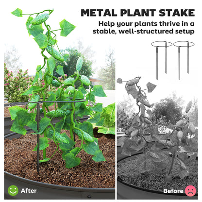 Dark grey steel planter with a metal stake supporting a climbing plant