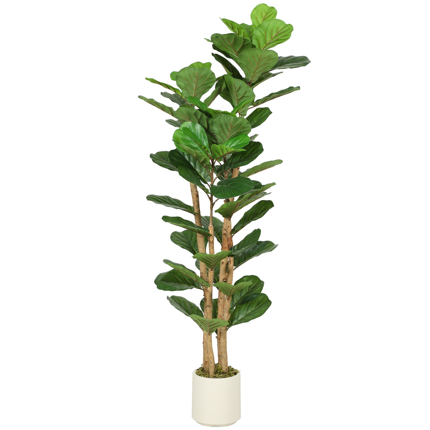 Photo of HOMCOM 150cm Artificial Fiddle Leaf Fig Tree - Green in Green colour on a white background