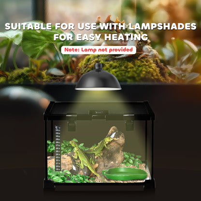 Glass terrarium with black frame, thermometer, water dish, and habitat decor under a heat lamp.