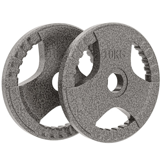 Photo of HOMCOM Set of 2 Cast Iron Weight Plates for 2 inch/5cm Hole Dumbbell Handle Bar, 20kg Dumbbell Plates Barbell Weight 2 x 10kg in 10kg colour on a white background