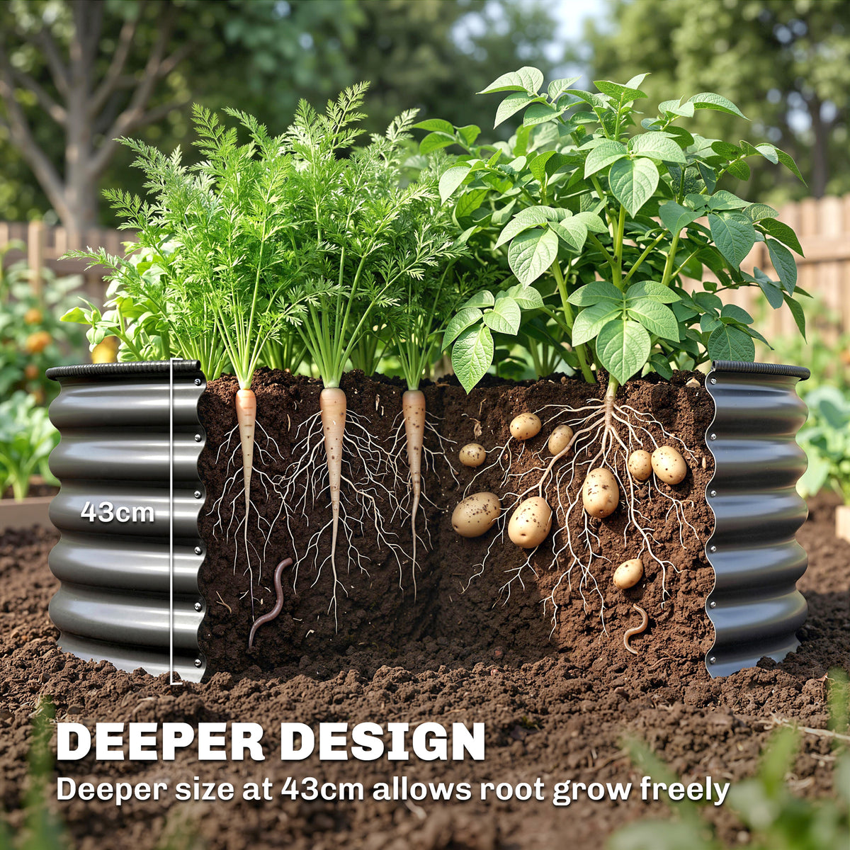 Galvanized raised garden bed shown in cross-section with deep soil and growing vegetables